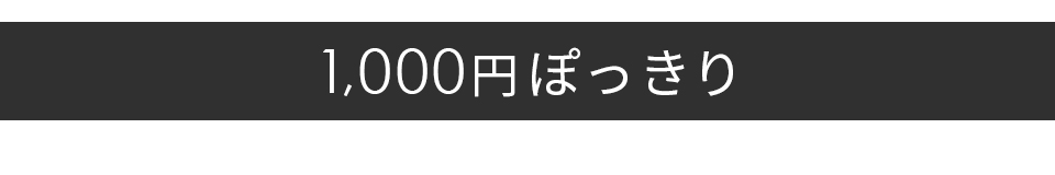 1,000円ぽっきり